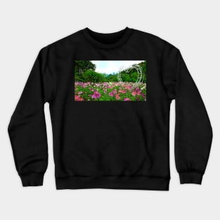 Vietnam - Champ de fleurs sur le plateau de Ha Giang Crewneck Sweatshirt